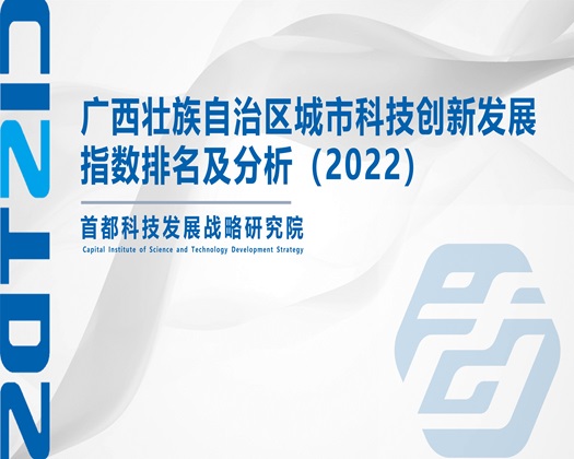 欧美美女被插下部的免费网站【成果发布】广西壮族自治区城市科技创新发展指数排名及分析（2022）